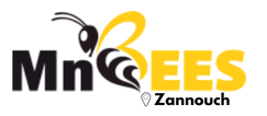 MnBees Gafsa - Zannouch